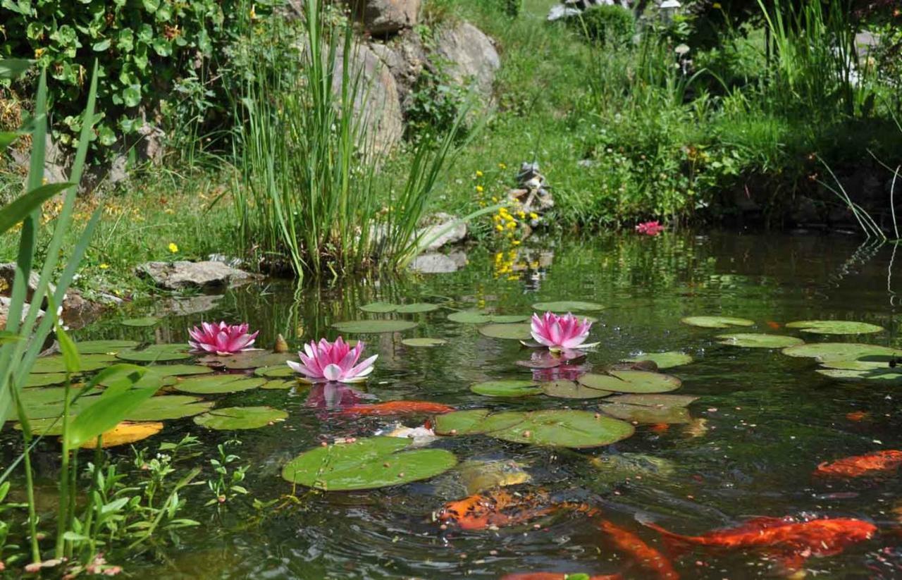 Boutique Pension Erlacher - Adults Only Вілландро Екстер'єр фото